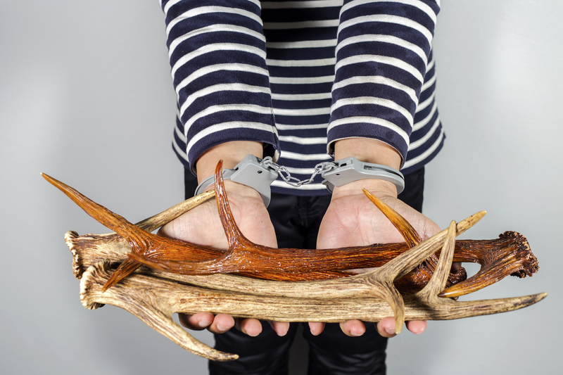 Getting Creative with Packaging and Cardboard Reuse